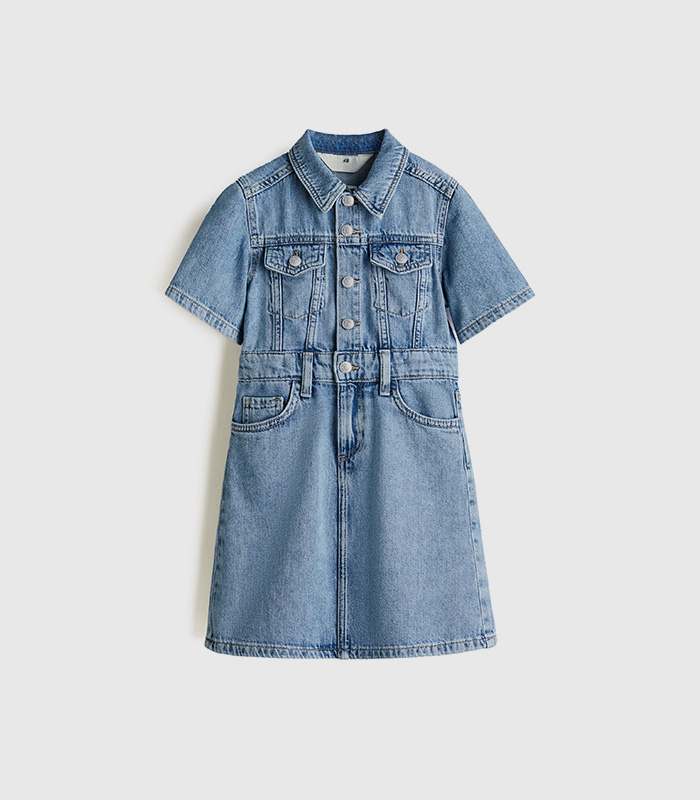 cotton denim dress.jpeg